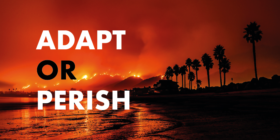 Japan encourages foreign vacationers to buy travel coverage