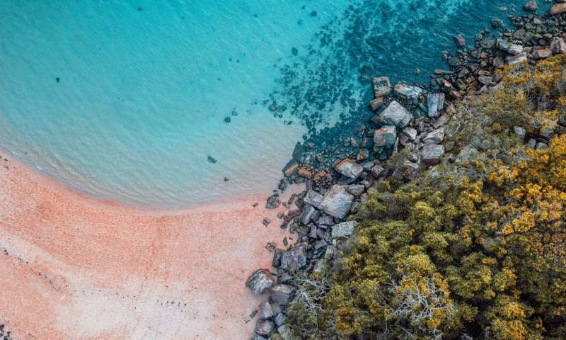 Australia's pristine seashores have a poo problem 1
