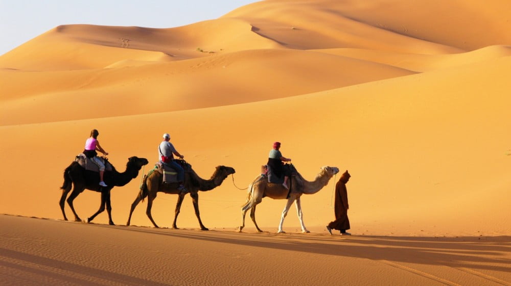 15 Best Desert Safaris in Dubai 1