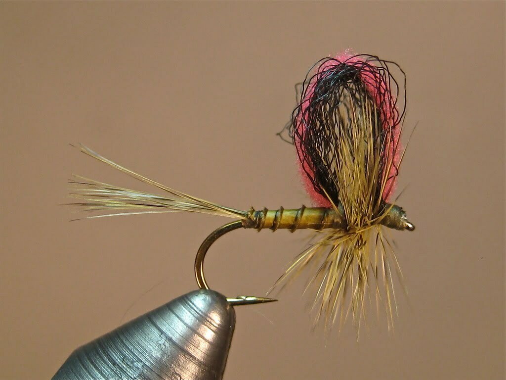 673 Million People Still Defecate Outdoors